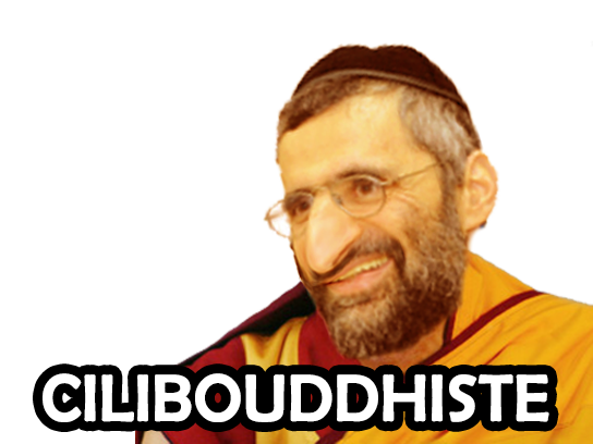 rabbin ron cilibouddhiste juif chaya moine rav