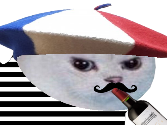 foot cdm monde football beret chat boire vin moustache rage coupe blanc alcool colere francais enerve france du