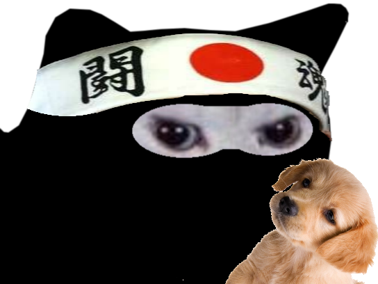 bandeau ninja colere du football cdm chat japonais enerve chien foot japon monde rage other coupe blanc