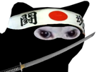 coupe-blanc-japon-football-colere-monde-sabre-cdm-rage-risitas-foot-chat-du-enerve-japonais-ninja-katana-bandeau