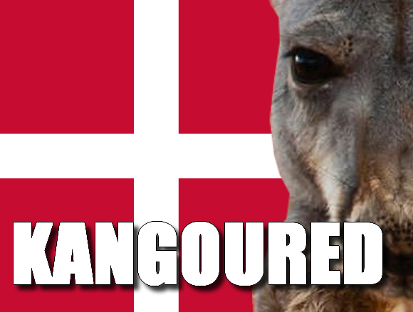 kangourou danemark foot australie kangoured