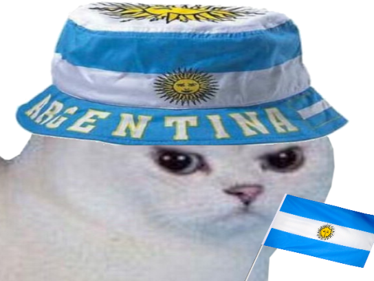 other colere enerve du foot argentine football argentin chapeau drapeau chat cdm rage coupe blanc monde