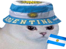 other-colere-enerve-du-foot-argentine-football-argentin-chapeau-drapeau-chat-cdm-rage-coupe-blanc-monde