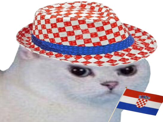 cdm rage other enerve foot football monde blanc chat coupe croate du croatie chapeau drapeau colere