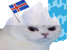 colere-enerve-football-glace-islandais-other-cascade-islande-cdm-iceberg-foot-blanc-du-drapeau-monde-chat-rage-coupe