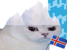 islande-enerve-chat-iceberg-islandais-football-rage-cdm-coupe-du-foot-drapeau-other-colere-monde-cascade-blanc-glace