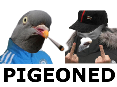 wesh pigeon risitas pigeoned