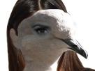 risitas-fille-pigeon-1010