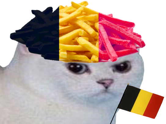 colere coupe frite chat football frites foot rage blanc drapeau du monde belgique cdm other belge enerve