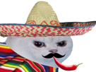 football-rage-risitas-cdm-chat-mexicain-blanc-enerve-gringo-chapeau-mexique-piment-moustache-du-manger-muchachos-foot-colere-monde-coupe