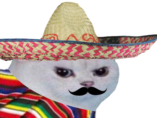 poncho mexique coupe du chat enerve blanc colere risitas rage foot moustache chapeau football cdm mexicain monde muchachos gringo