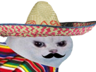 poncho-mexique-coupe-du-chat-enerve-blanc-colere-risitas-rage-foot-moustache-chapeau-football-cdm-mexicain-monde-muchachos-gringo