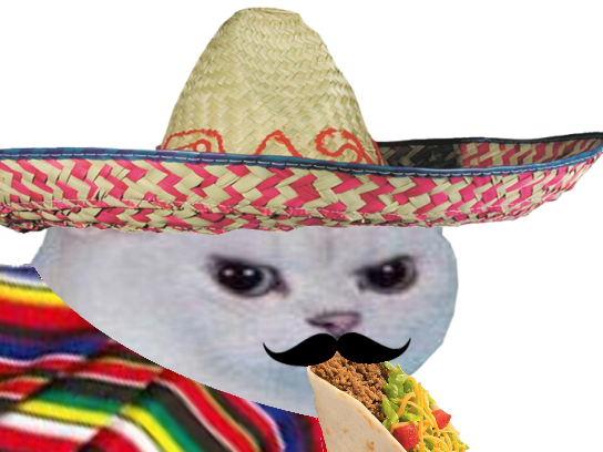 enerve tacos mexicain moustache football monde gringo rage cdm blanc coupe muchachos other foot chat manger colere poncho du chapeau mexique