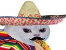 enerve-tacos-mexicain-moustache-football-monde-gringo-rage-cdm-blanc-coupe-muchachos-other-foot-chat-manger-colere-poncho-du-chapeau-mexique