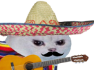 football-moustache-chapeau-monde-gringo-poncho-rage-coupe-du-musique-jouer-blanc-muchachos-chat-enerve-mexicain-foot-risitas-colere-mexique-guitare-cdm