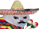 other-rage-football-muchachos-colere-blanc-chat-enerve-moustache-instrument-mexicain-jouer-musique-cdm-chapeau-maracas-mexique-du-foot-coupe-gringo-monde