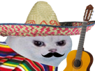 rage-chapeau-foot-muchachos-guitare-cdm-gringo-enerve-chat-moustache-mexicain-coupe-other-du-football-monde-instrument-colere-mexique-blanc