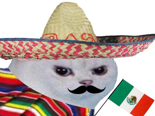 moustache enerve rage drapeau muchachos football monde chapeau poncho mexicain colere coupe cdm foot mexique gringo other du chat blanc