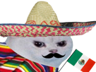 moustache-enerve-rage-drapeau-muchachos-football-monde-chapeau-poncho-mexicain-colere-coupe-cdm-foot-mexique-gringo-other-du-chat-blanc