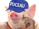 pucix-co-puceau-pigged-alcapote-cochon-alkapote-alk-risitas-p-cigarette-porc-pig-coch
