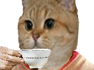 risitas tasse chat sodium