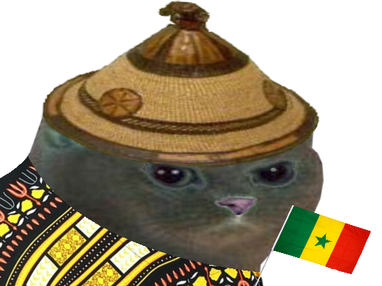 coupe foot cdm rage risitas senegalais colere habit blanc football noir senegal enerve vetement du chat chapeau monde drapeau