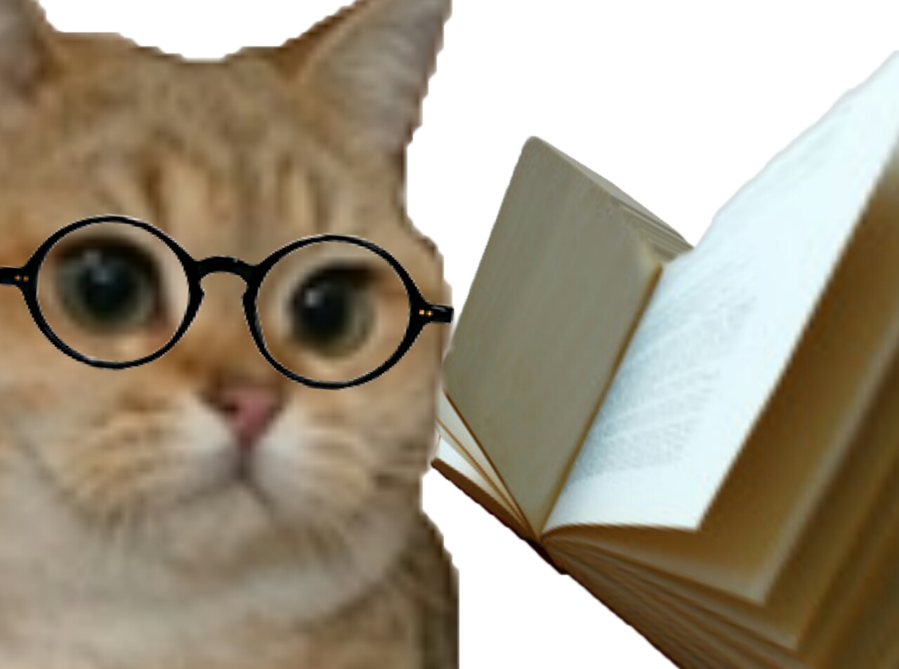 chat sodium other livre