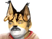 starfox 2 miyu lynx furry pilote tinnova feline risitas