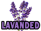 fleur-lavanded-other-lavande-moustique