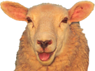mouton-other-cute-animal-laine-agneau-chevre-blanc-mignon-brebis-animaux-belier-bouc-kawaii-mashimouton