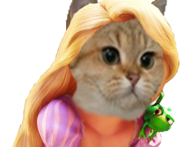 princesse risitas sodium chat raiponce