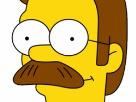 ned-flanders-other-simpson
