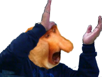 hubert maradona singe nasique risitas