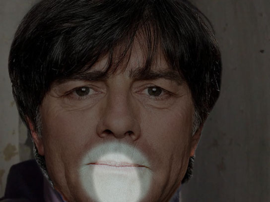 risitas joachim fusion low