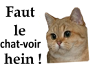 other-savoir-chat-sodium