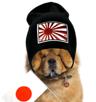 chow-japon-chien-moumoute-risitas