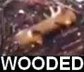 risitas-wood-wooded-noye
