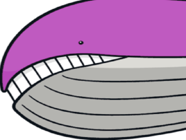 risitas wailord pokemon shiny