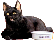 sabrina surpris salem etonne h22 hein gamelle