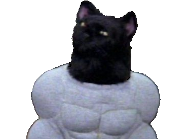 go salem muscu sabrina h22