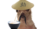marron dog mandarin moustache asiatique baguettes chapeau tchong japonais asiate chinois other chine riz chien bol blase