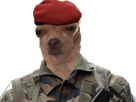 chapeau-dog-blase-armee-arme-caporal-la-famas-militaire-paix-de-chien-garde-marron-risitas-lieutenant-policier