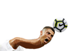 cdm-football-other-portugal-cou-ronaldo-connard-christiano-foot-cr7