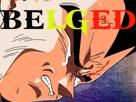 belge-belged-dbz-ball-dragon-belgique-vegeta-other-japon-pleure