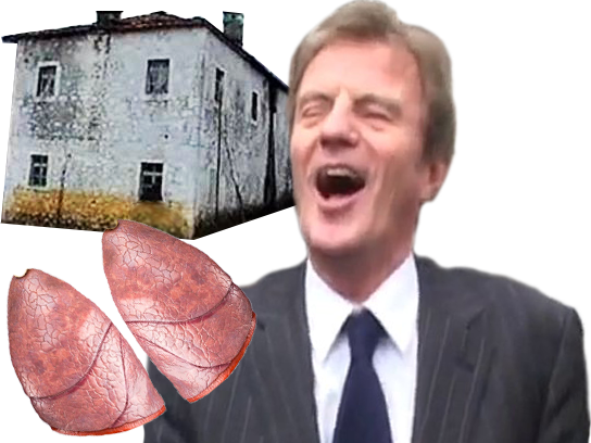 maison albanie trafic jaune veil juif politic simone organe kosovo kouchner poumons serbie bernard