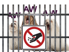 risitas-aw-sign-nourrire-pas-animaux-feed-chiens-cage-ne