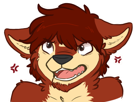 face-fur-tete-furry-colere-angry-starswirls-other-kindfurry-furs-expression-chroniswolf
