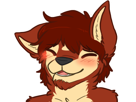 kindfurry-toucher-other-merci-face-happy-heureux-expression-furry-content-furs-starswirls-tete-gentil-fur-chroniswolf