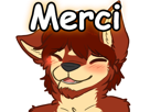 gentil-toucher-face-merci-kindfurry-tete-other-content-starswirls-expression-chroniswolf-happy-furry-furs-heureux-fur