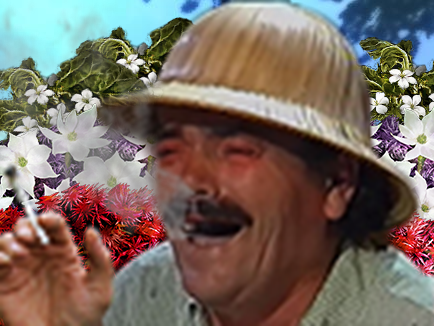 risi weed fleur jardin defonce risitas